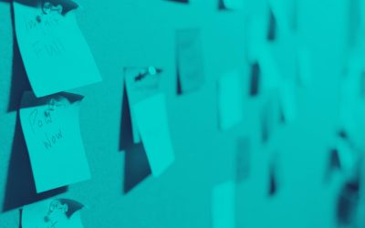 Why do you need a Chief Project Officer?