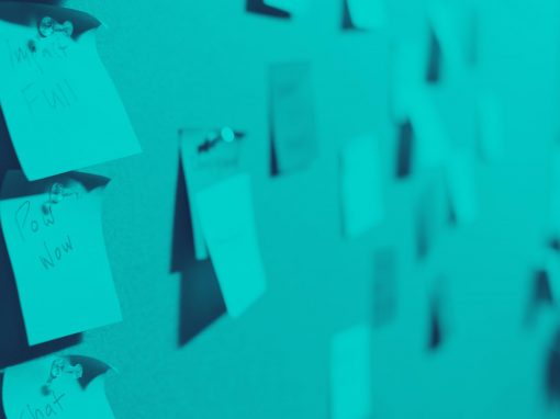 Why do you need a Chief Project Officer?