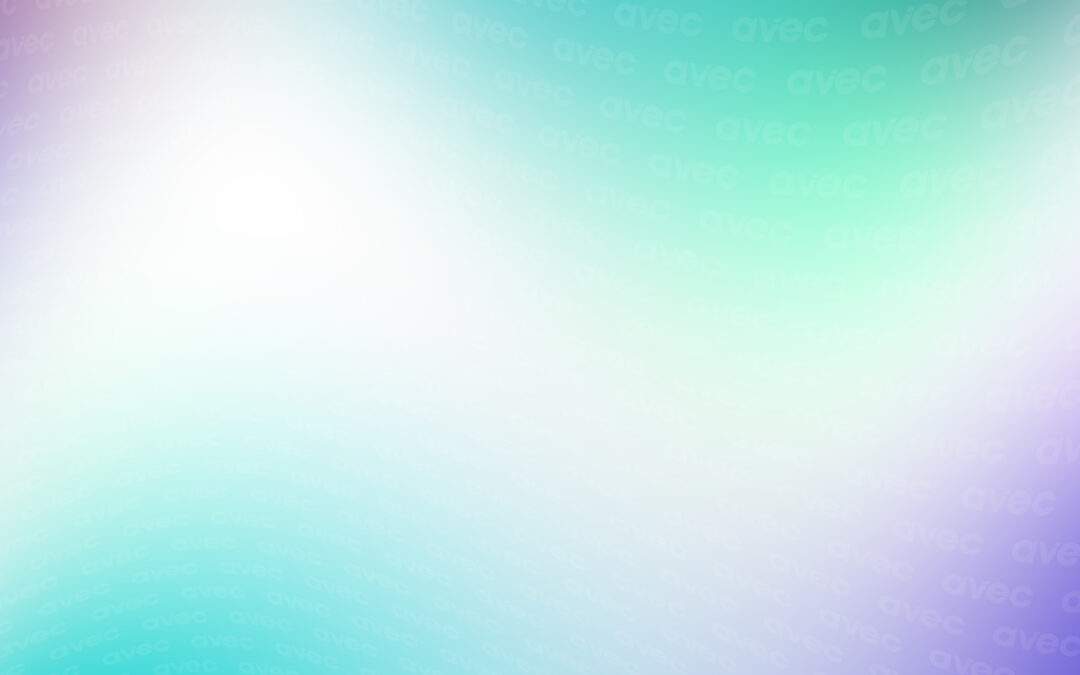 Streamlining BMD’s processes to ensure the successful implementation of TechnologyOne